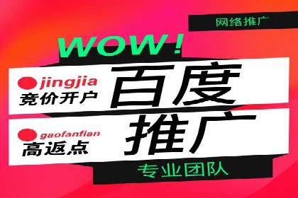 深度解读：百度推广运营的五大成功案例